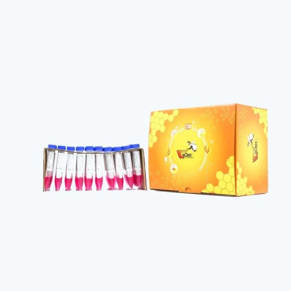 Bio Bee_VTM 50Test